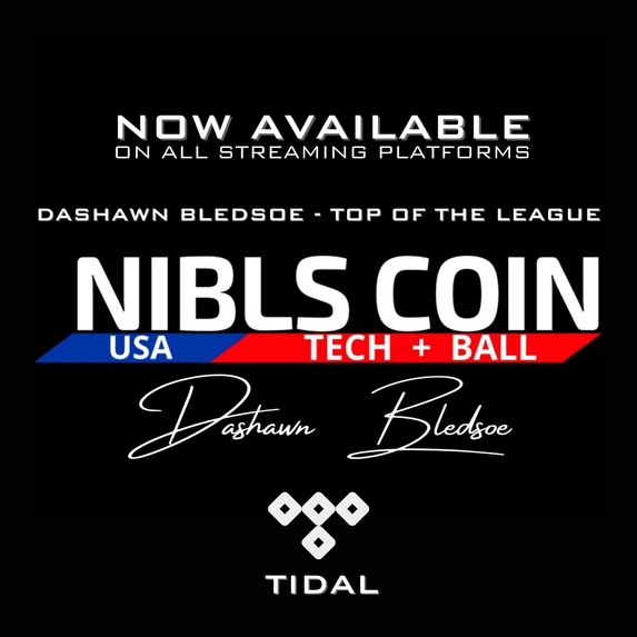 NIBLS Coin Project Analytics to Profits – screenshot 2