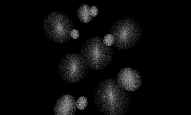 Bitcoin Black Flowers – screenshot 1