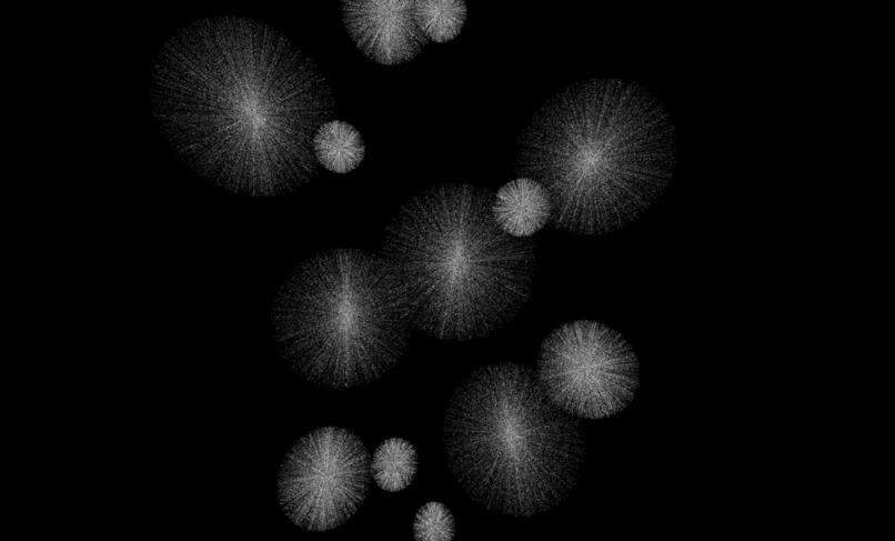 Bitcoin Black Flowers – screenshot 2