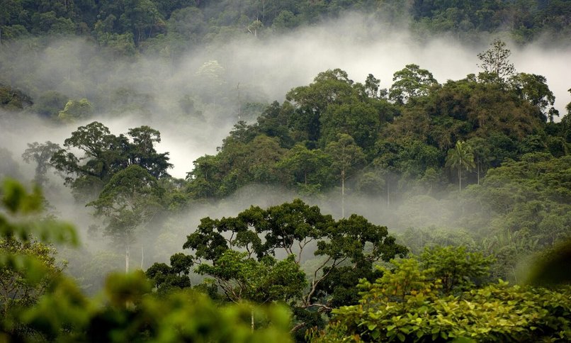 Carbon Neutral – screenshot 3