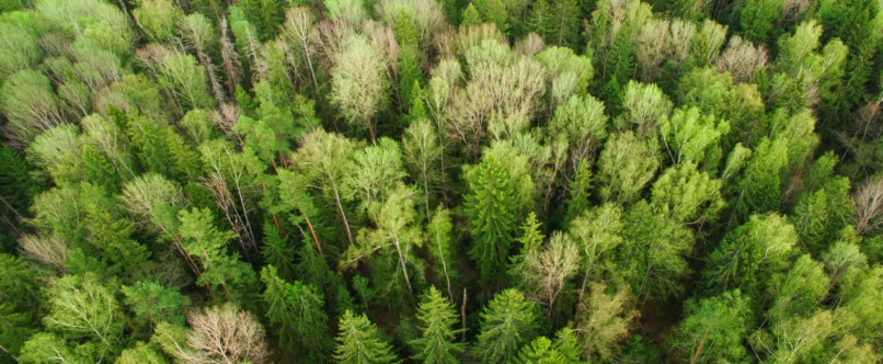Carbon Neutral – screenshot 4