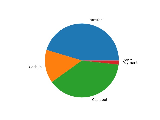Capital One: Fraud Detection  – screenshot 2