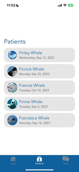 Whaleness – screenshot 8