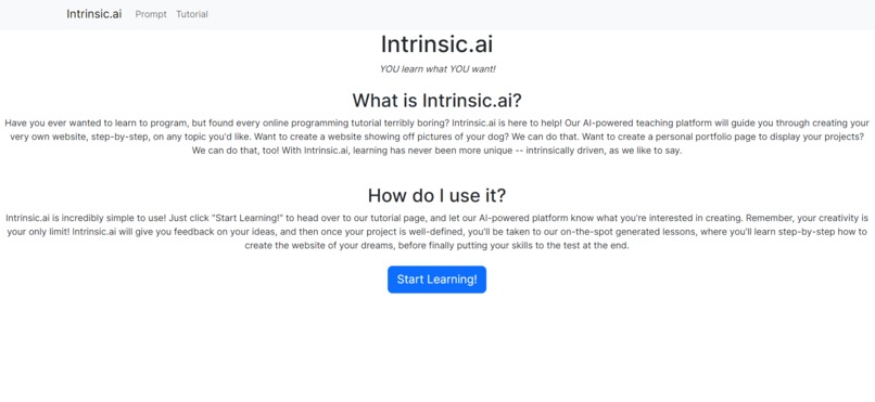 IntrinsicAI  – screenshot 1