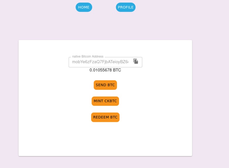 PW MANAGER – screenshot 2