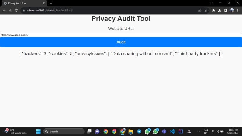 Privacy Audit & Recommendations Tool – screenshot 1
