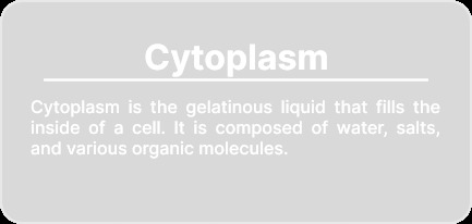 Animal Cell-Augmented Reality MeyRAR – screenshot 8