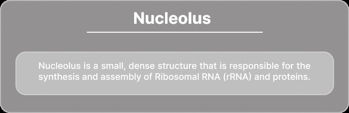 Animal Cell-Augmented Reality MeyRAR – screenshot 22