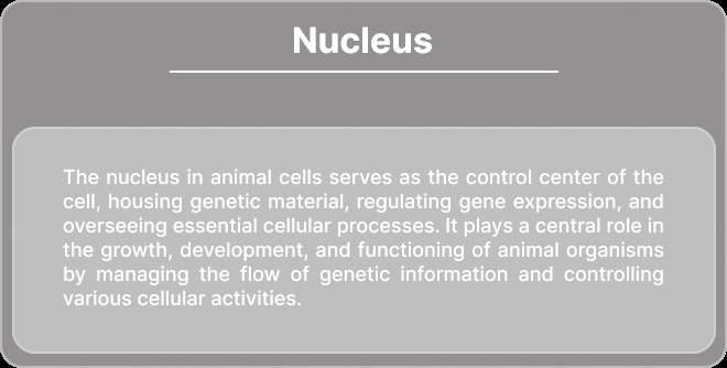 Animal Cell-Augmented Reality MeyRAR – screenshot 23