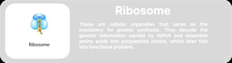 Animal Cell-Augmented Reality MeyRAR – screenshot 25
