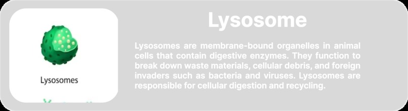 Animal Cell-Augmented Reality MeyRAR – screenshot 18