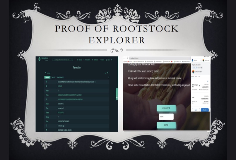 CRYPTOGRAPHIC FARMING – screenshot 6