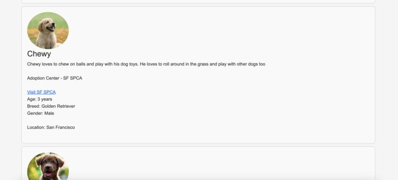 Pawsitive Match  – screenshot 3