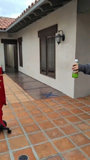 Nepo Leon – screenshot 1