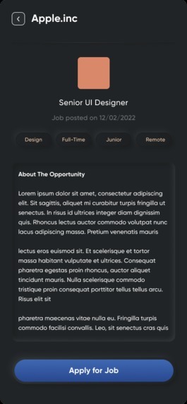 Jobs Search Engine App – screenshot 4