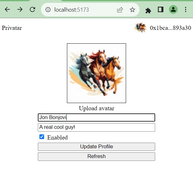 Tutorial: Create a Gravatar clone dapp with Oasis Sapphire – screenshot 2
