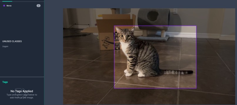 CV Stands for Cat Vision – screenshot 1