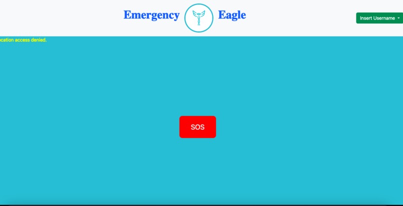 Emergency Eagle – screenshot 1