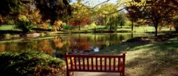 RU Prepared? – screenshot 7