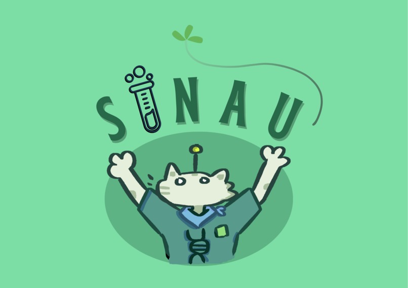 SINAU – screenshot 1