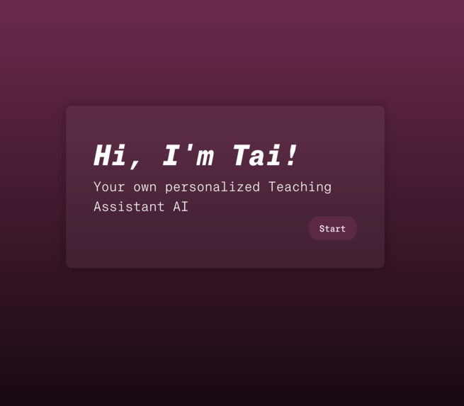 TAI: Teaching Assistant AI – screenshot 5