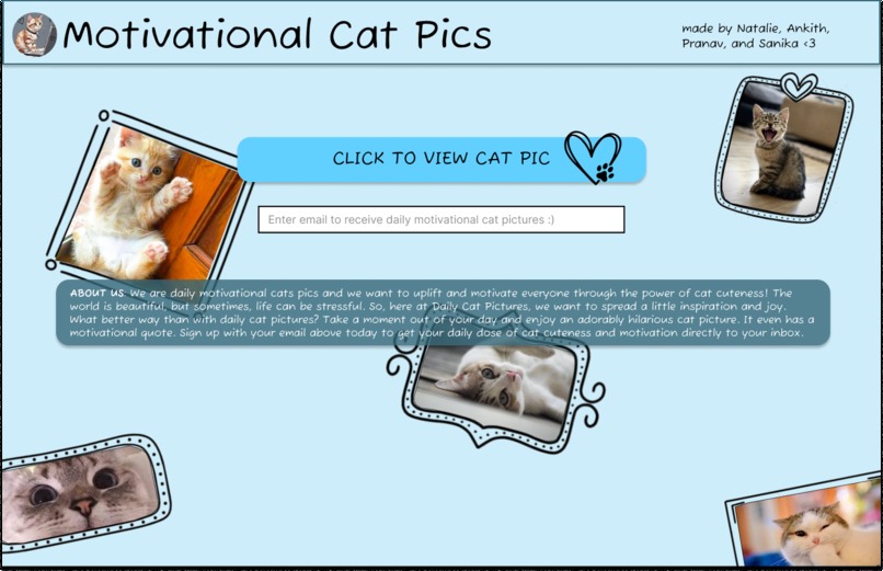 Daily Motivational Cat Pictures! – screenshot 2