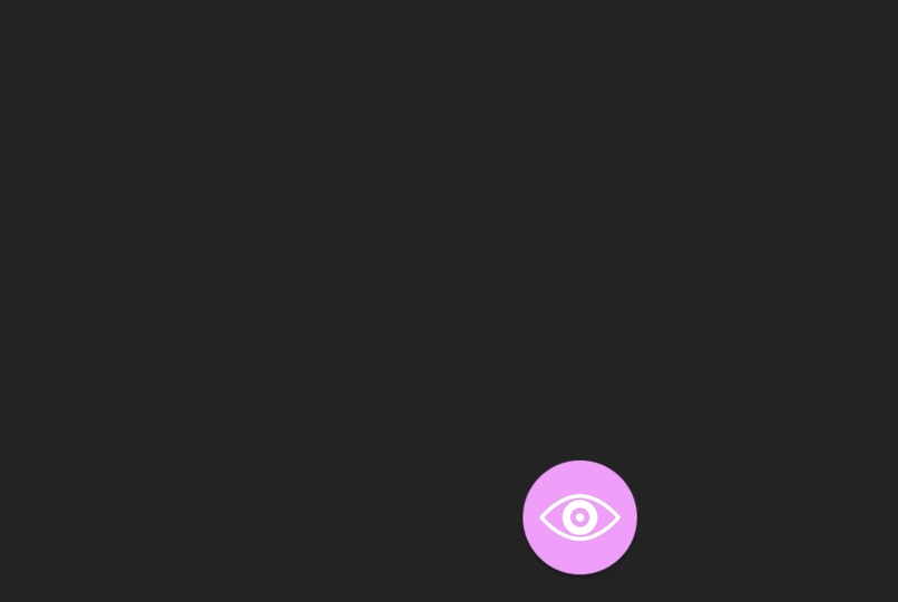 AnyCam – screenshot 3