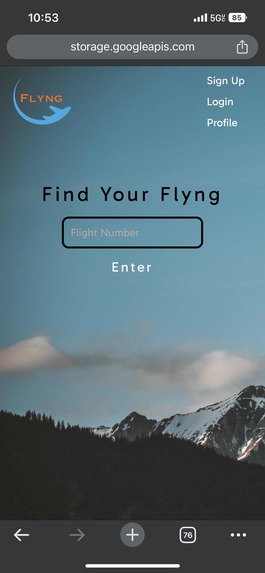 Flyng – screenshot 11