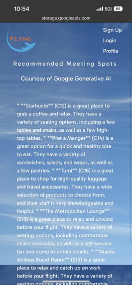 Flyng – screenshot 13