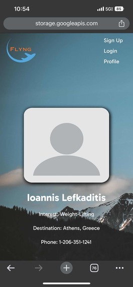 Flyng – screenshot 14