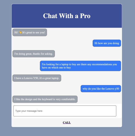 Chat with a Pro – screenshot 1
