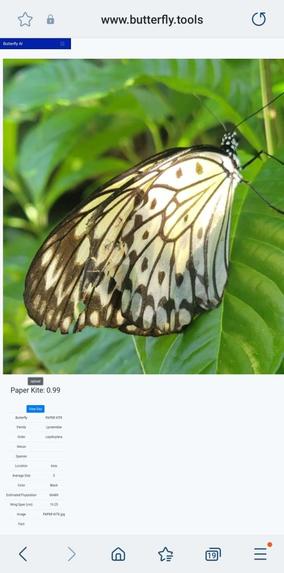 Butterfly AI – screenshot 1