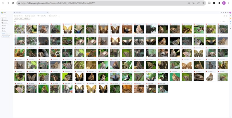 Butterfly AI – screenshot 5