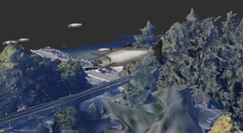 Salmon crossing – screenshot 1