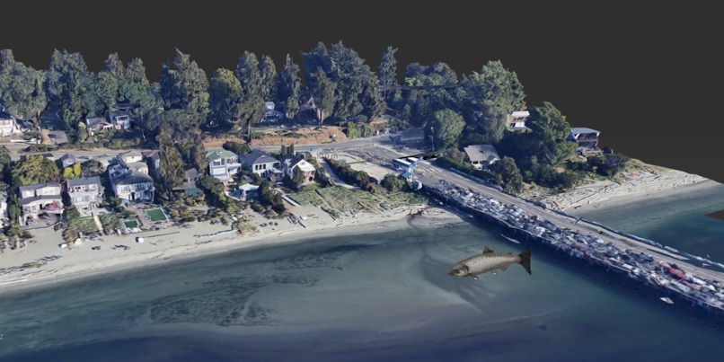 Salmon crossing – screenshot 2