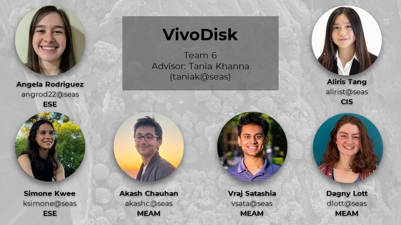 VivoDisk - Lightning Talk Slides – screenshot 1