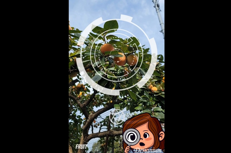Little AI Photographer – screenshot 3