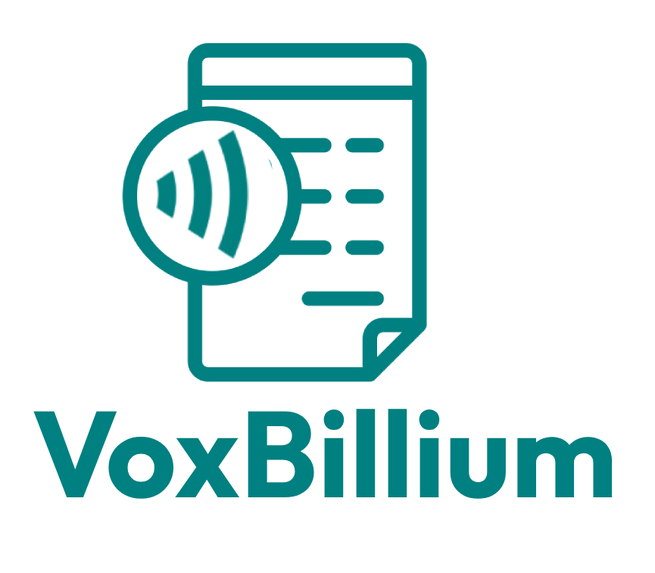 VoxBillium – screenshot 1