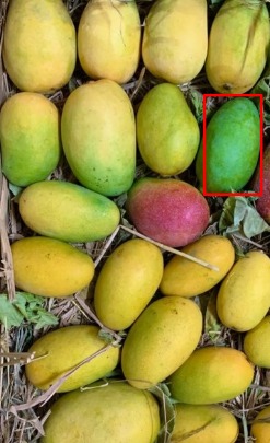 IOTweight Payment – screenshot 3