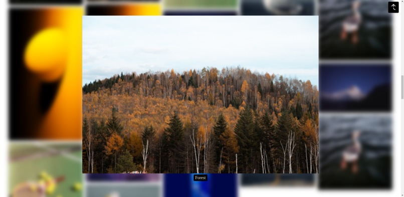 Image Gallery – screenshot 2
