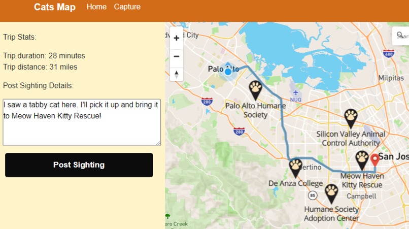 Cats Map – screenshot 1