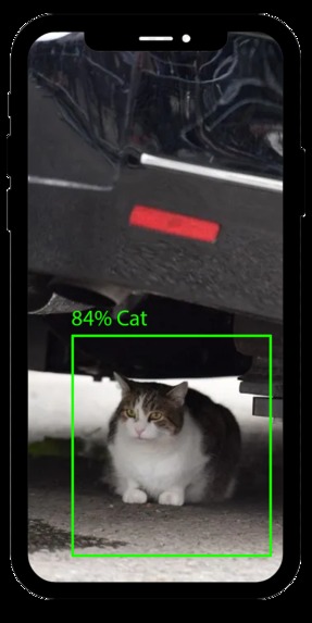 Cats Map – screenshot 2