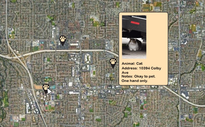 Cats Map – screenshot 3