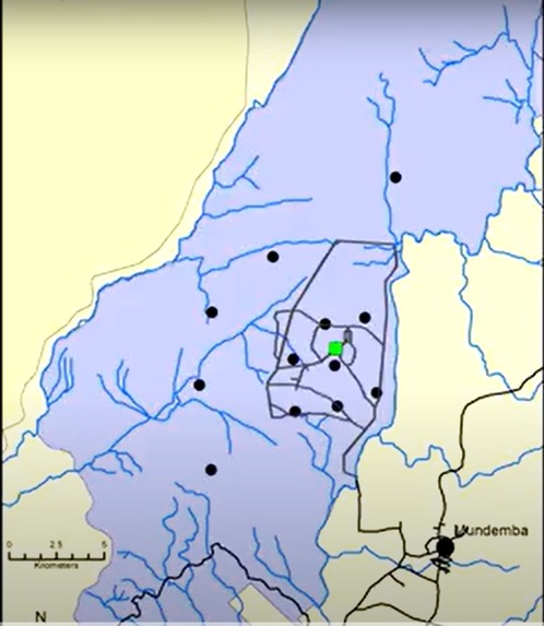 Elephant distress call identification using CNN's – screenshot 1