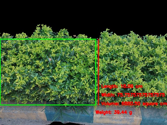 EcoStubbleAI – screenshot 5