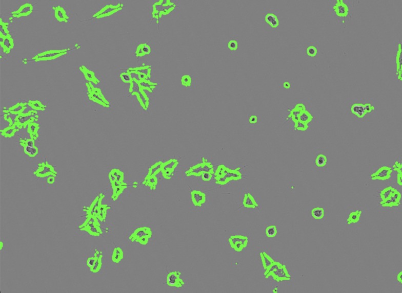 NeuraLIVE – screenshot 1