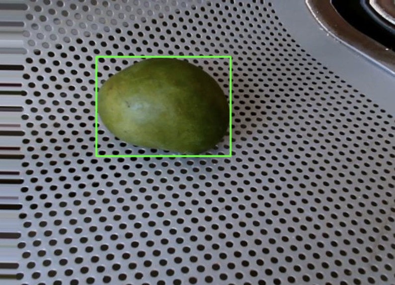 Mango ripeness testing and product suggestions – screenshot 1