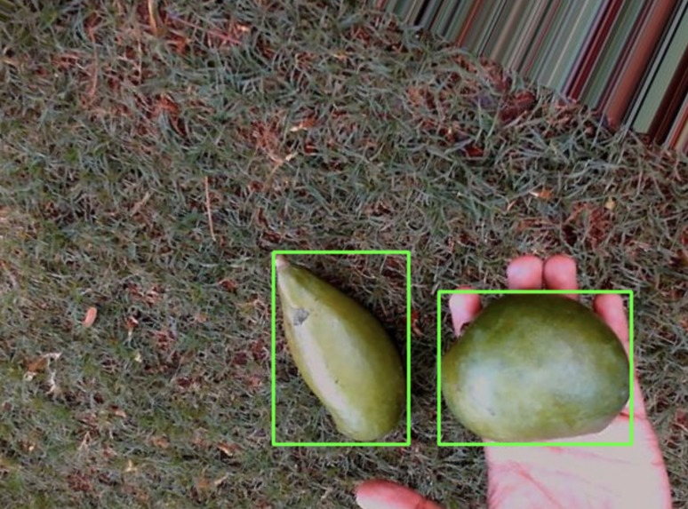 Mango ripeness testing and product suggestions – screenshot 4