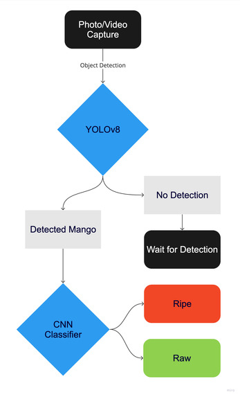 Mango ripeness testing and product suggestions – screenshot 5