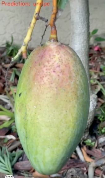 Mango ripeness testing and product suggestions – screenshot 6